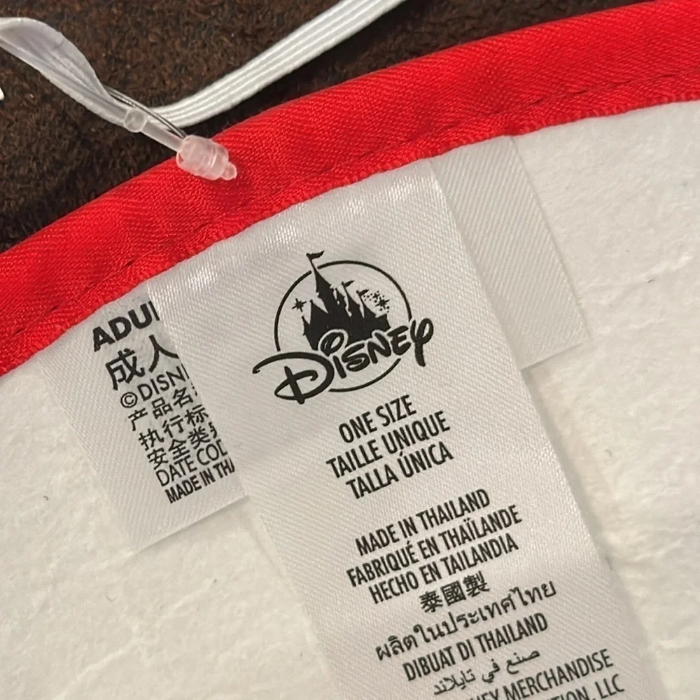 Disney Parks Birthday ears hat  2022